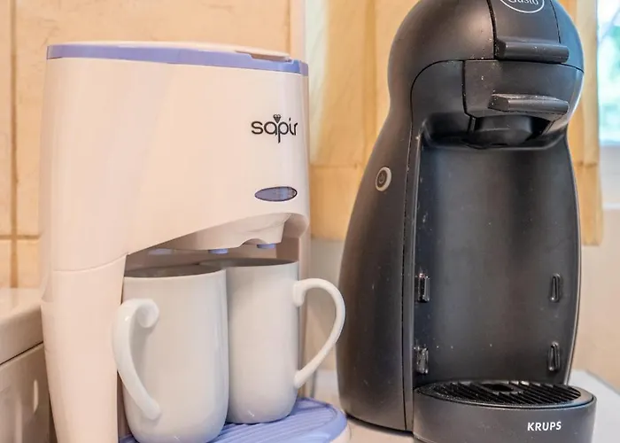 The Right Choice 21 * Sofia